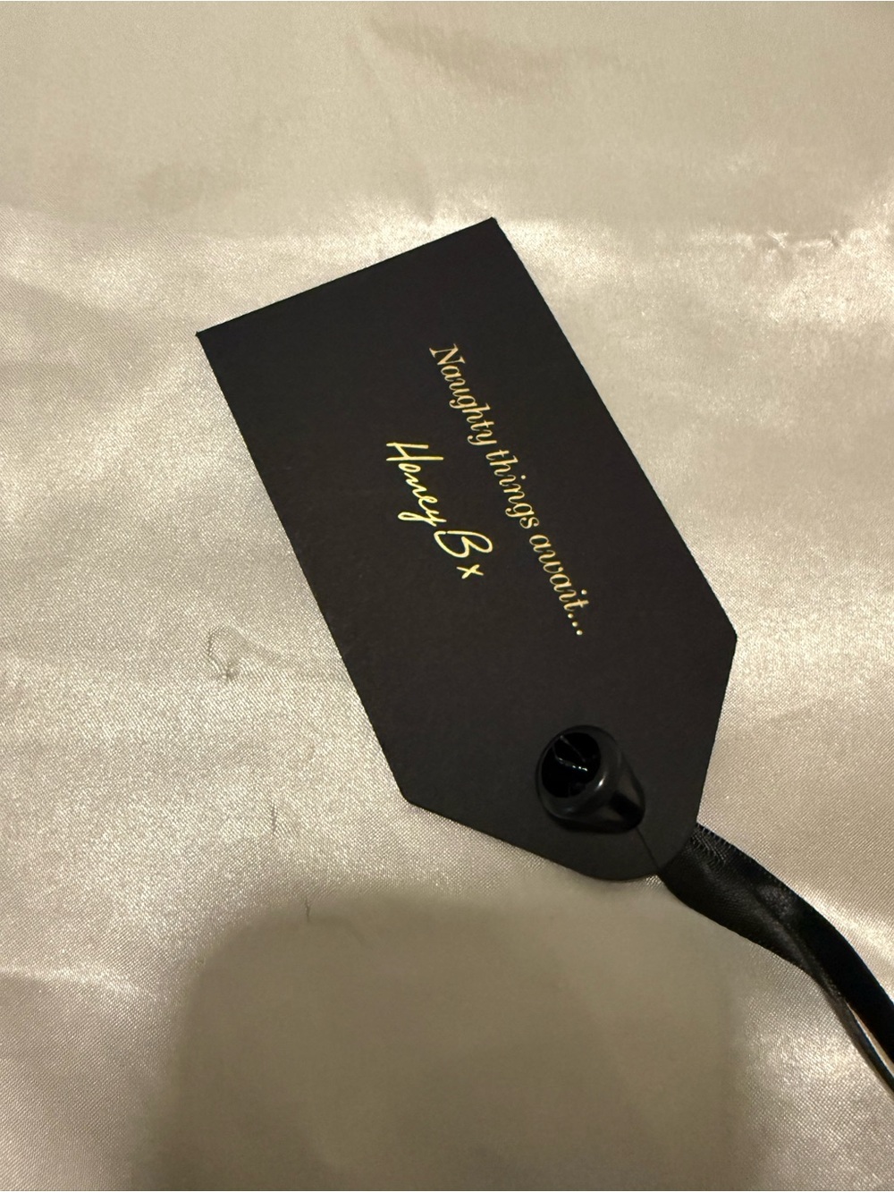 Honey Birdette Black Lace Bralette & Bikini Set with Satin Pouch - Picture 7 of 7